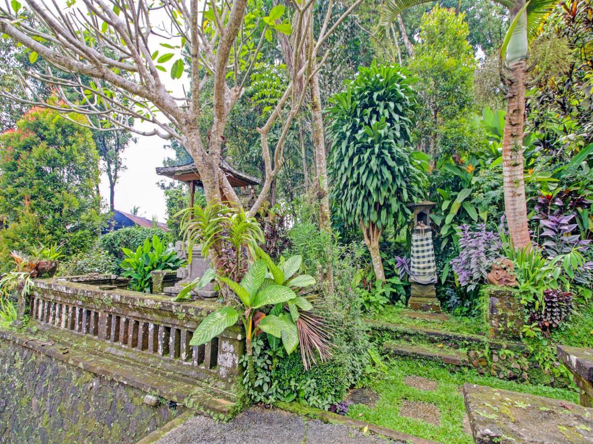 Oyo Homes 91091 Desa Wisata Umejero Munduk Екстериор снимка