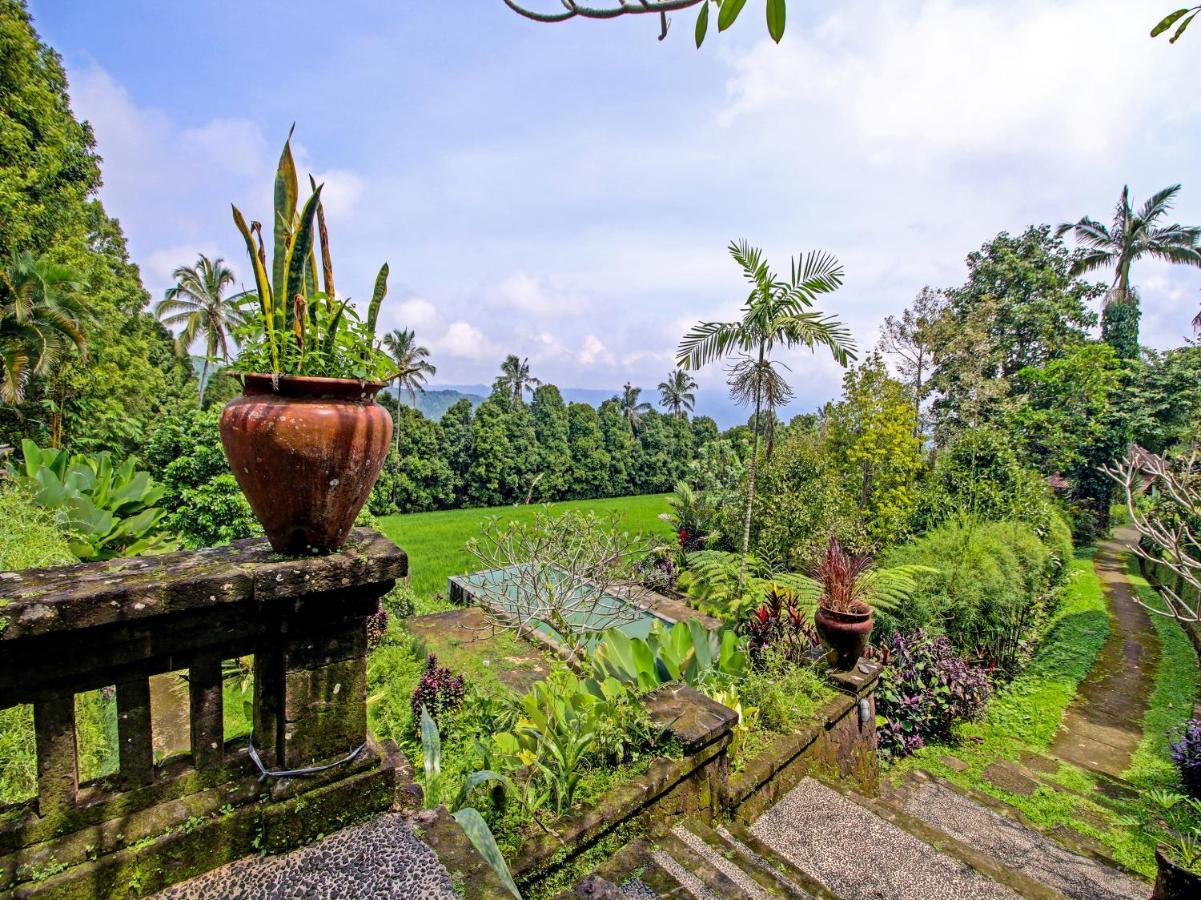 Oyo Homes 91091 Desa Wisata Umejero Munduk Екстериор снимка