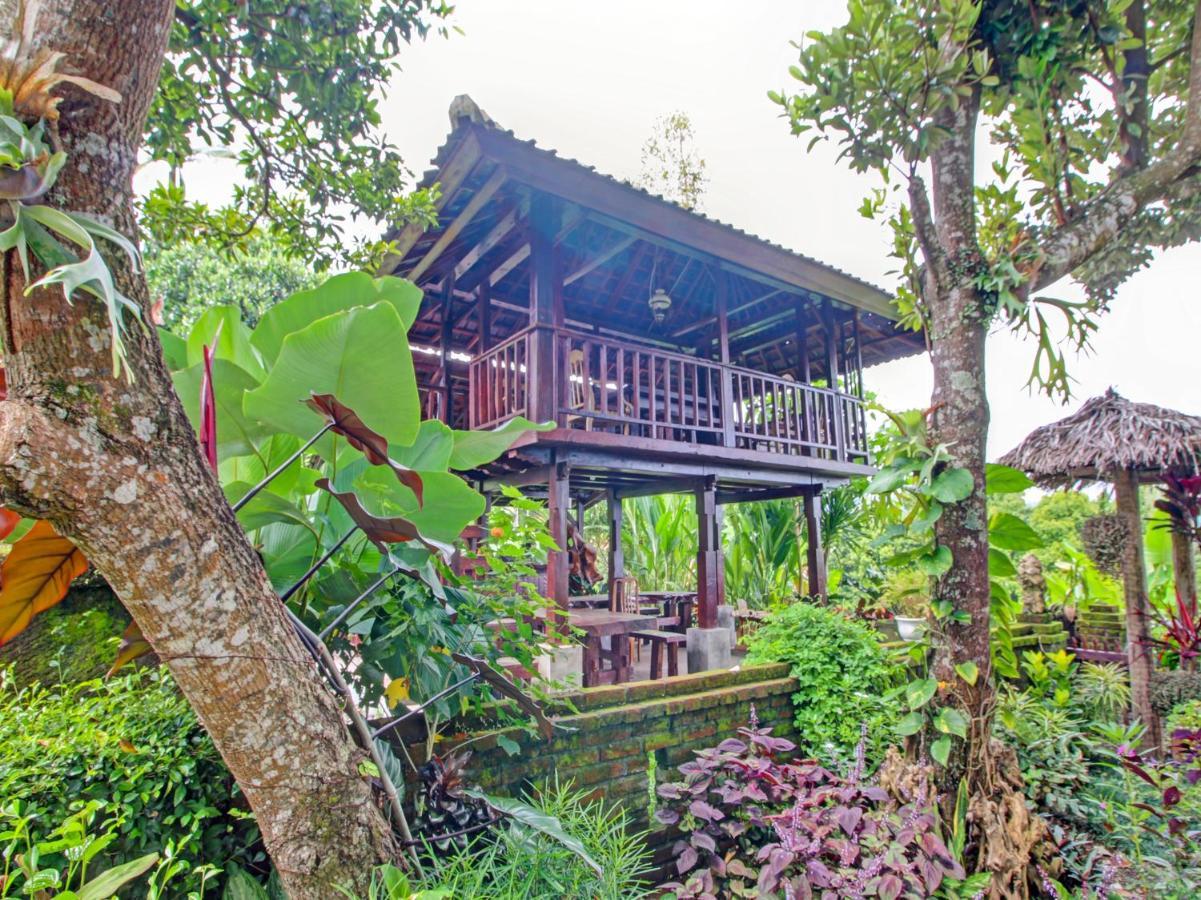 Oyo Homes 91091 Desa Wisata Umejero Munduk Екстериор снимка